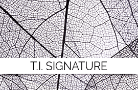 N°01 T.I. Signature